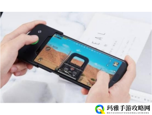 肉山前的NPC传奇与冒险之旅