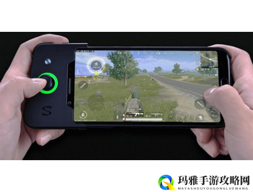 修仙之路：探索无尽奇境的修行之旅