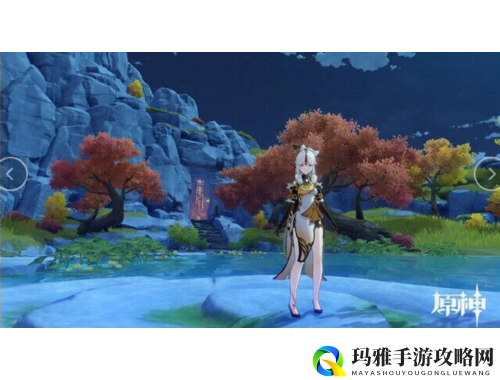 美食制作攻略大全从入门到精通的全方位指南