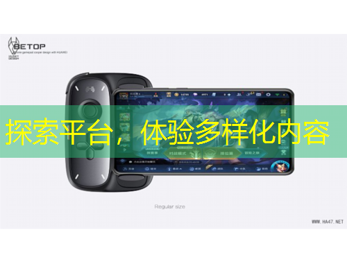 探索平台，体验多样化内容