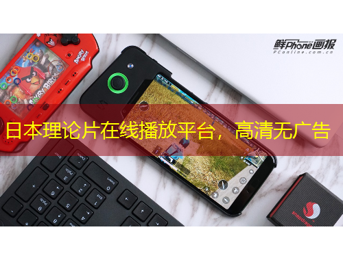 日本理论片在线播放平台，高清无广告