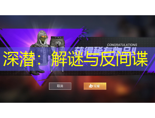 深潜：解谜与反间谍