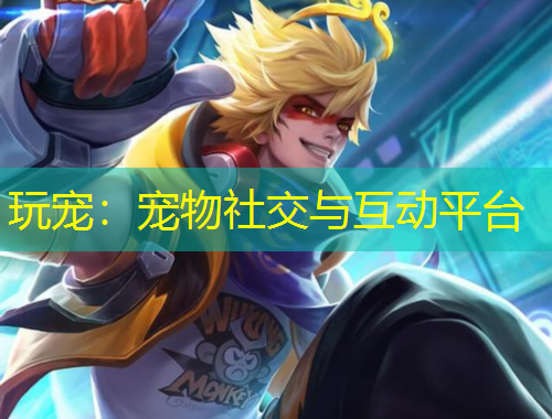 玩宠：宠物社交与互动平台