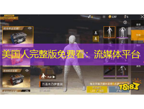 美国人完整版免费看：流媒体平台