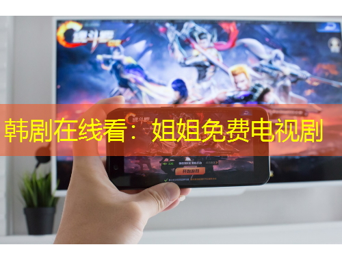 韩剧在线看：姐姐免费电视剧