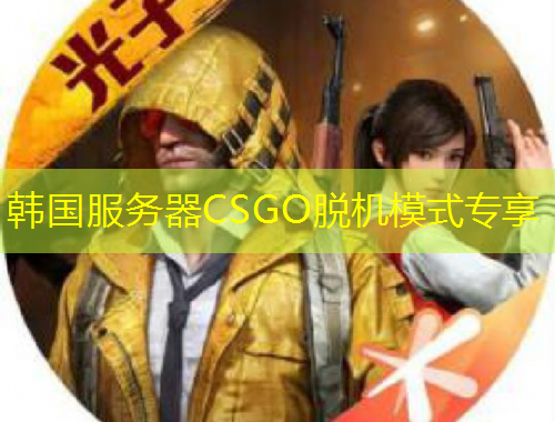 韩国服务器CSGO脱机模式专享