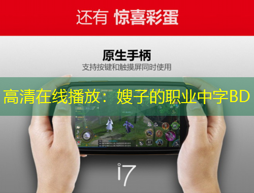 高清在线播放：嫂子的职业中字BD