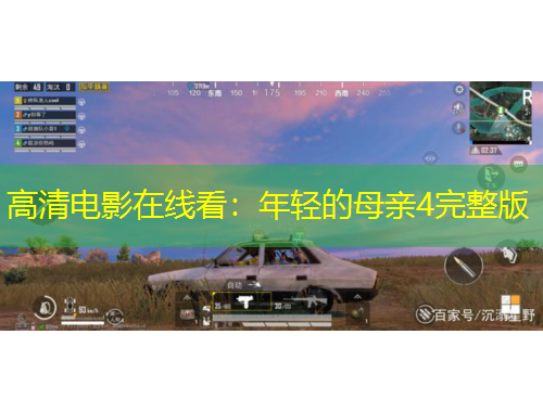 高清电影在线看：年轻的母亲4完整版