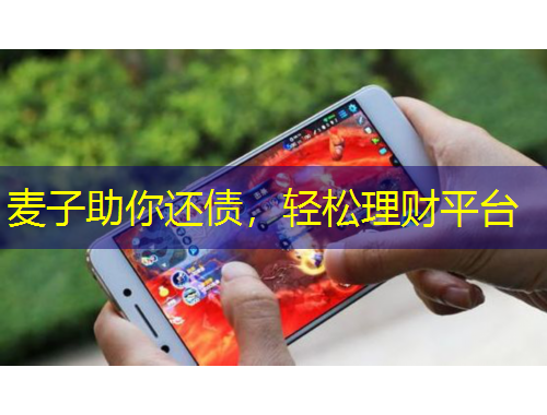 麦子助你还债，轻松理财平台