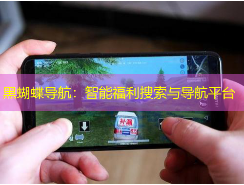 黑蝴蝶导航：智能福利搜索与导航平台