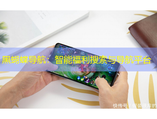 黑蝴蝶导航：智能福利搜索与导航平台