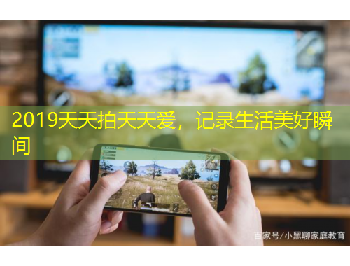 2019天天拍天天爱，记录生活美好瞬间