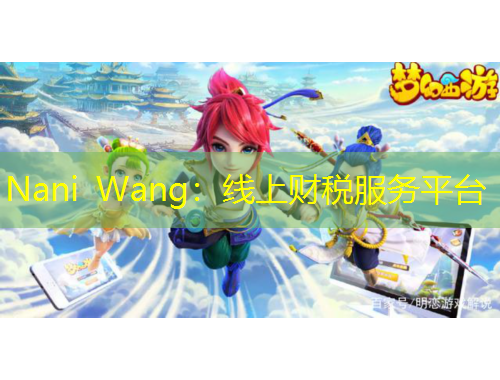 Nani Wang：线上财税服务平台
