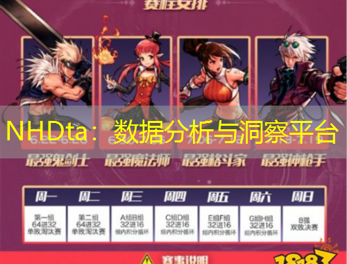 NHDta：数据分析与洞察平台