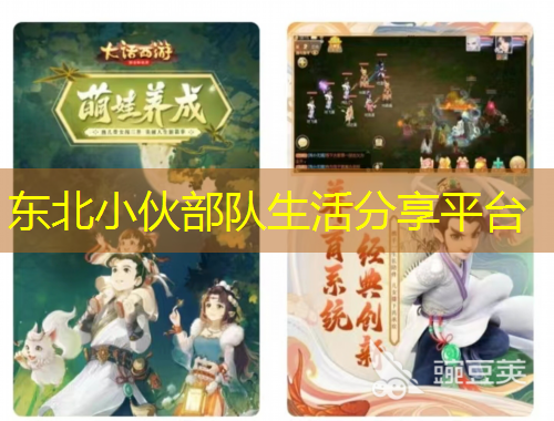 东北小伙部队生活分享平台