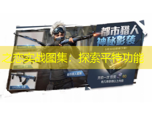 之恋实战图集：探索平特功能
