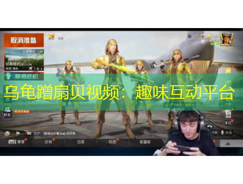 乌龟蹭扇贝视频：趣味互动平台