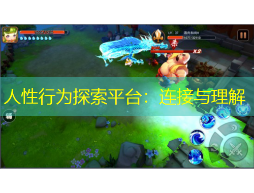 人性行为探索平台：连接与理解