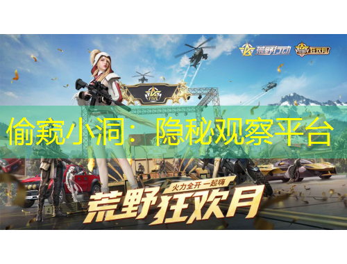 偷窥小洞：隐秘观察平台