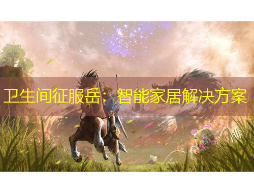 卫生间征服岳：智能家居解决方案