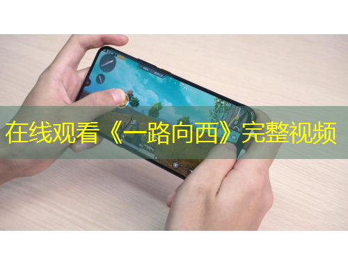 在线观看《一路向西》完整视频