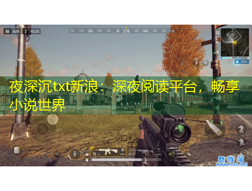 夜深沉txt新浪：深夜阅读平台，畅享小说世界