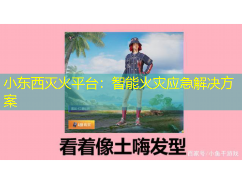 小东西灭火平台：智能火灾应急解决方案