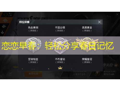 恋恋早春：轻松分享春日记忆