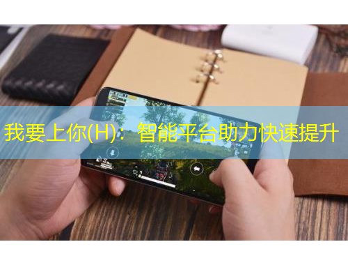 我要上你(H)：智能平台助力快速提升