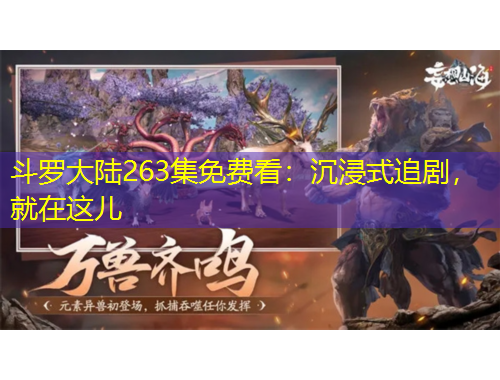 斗罗大陆263集免费看：沉浸式追剧，就在这儿