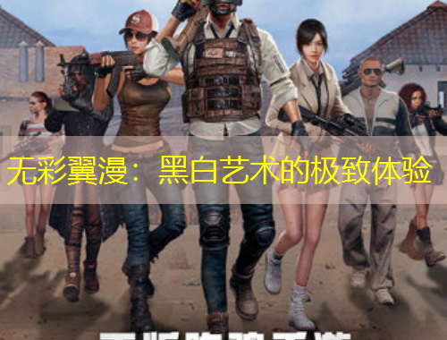 无彩翼漫：黑白艺术的极致体验