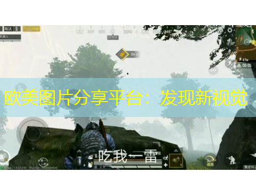 欧美图片分享平台：发现新视觉
