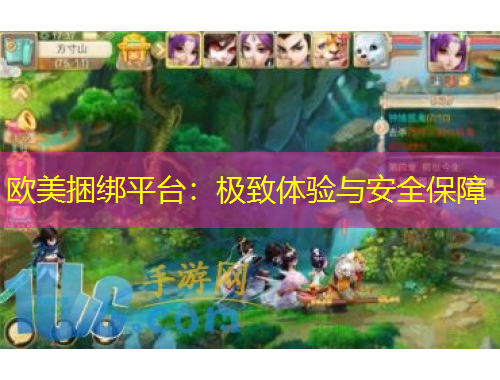 欧美捆绑平台：极致体验与安全保障