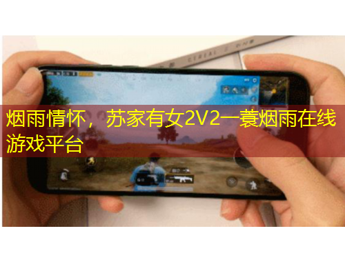 烟雨情怀，苏家有女2V2一蓑烟雨在线游戏平台