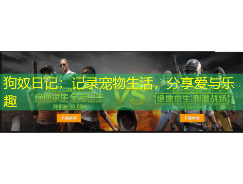 狗奴日记：记录宠物生活，分享爱与乐趣