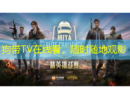 狗带TV在线看，随时随地观影