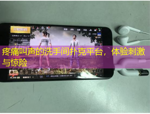 疼痛叫声的洗手间扑克平台，体验刺激与惊险