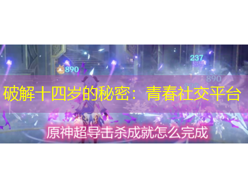 破解十四岁的秘密：青春社交平台