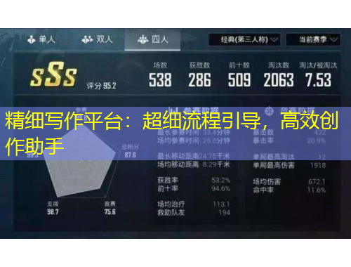 精细写作平台：超细流程引导，高效创作助手