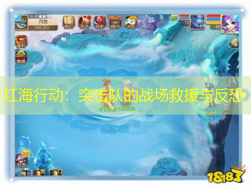 红海行动：突击队的战场救援与反恐