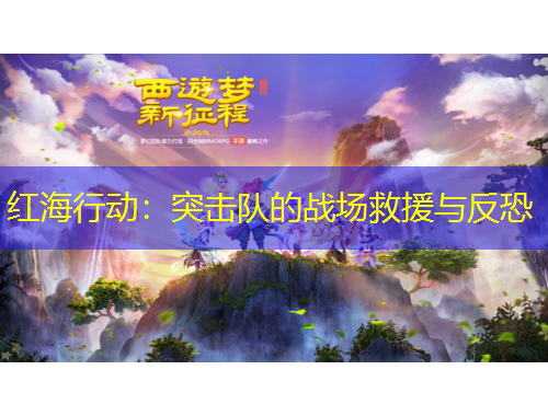 红海行动：突击队的战场救援与反恐