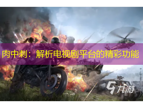 肉中刺：解析电视剧平台的精彩功能