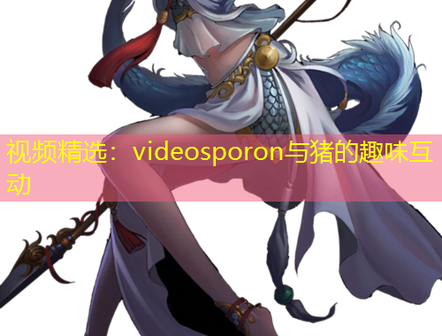 视频精选：videosporon与猪的趣味互动