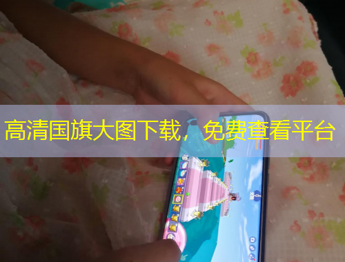 高清国旗大图下载，免费查看平台